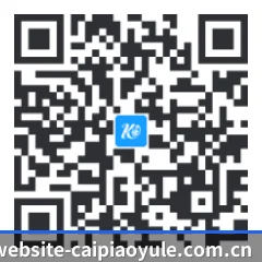 系统版 iOS 二维码